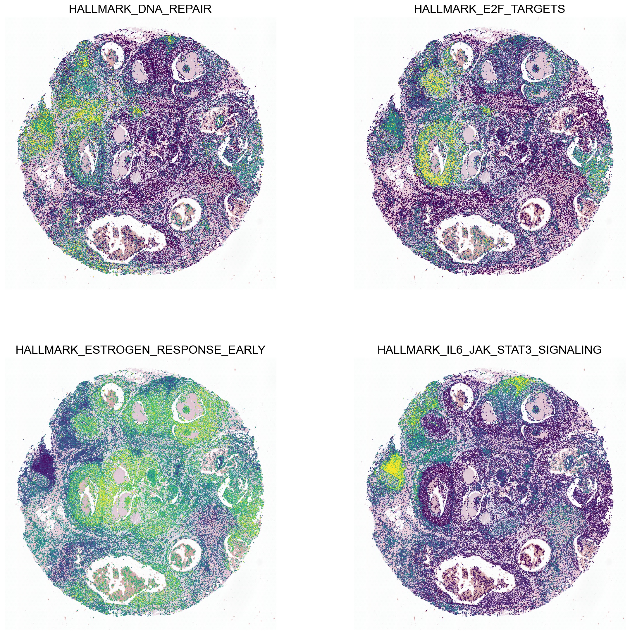 ../_images/notebooks_runThor_DCIS_54_0.png