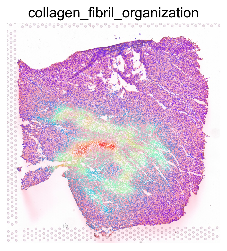 ../_images/notebooks_run_thor_analyses_HF_21_5.png