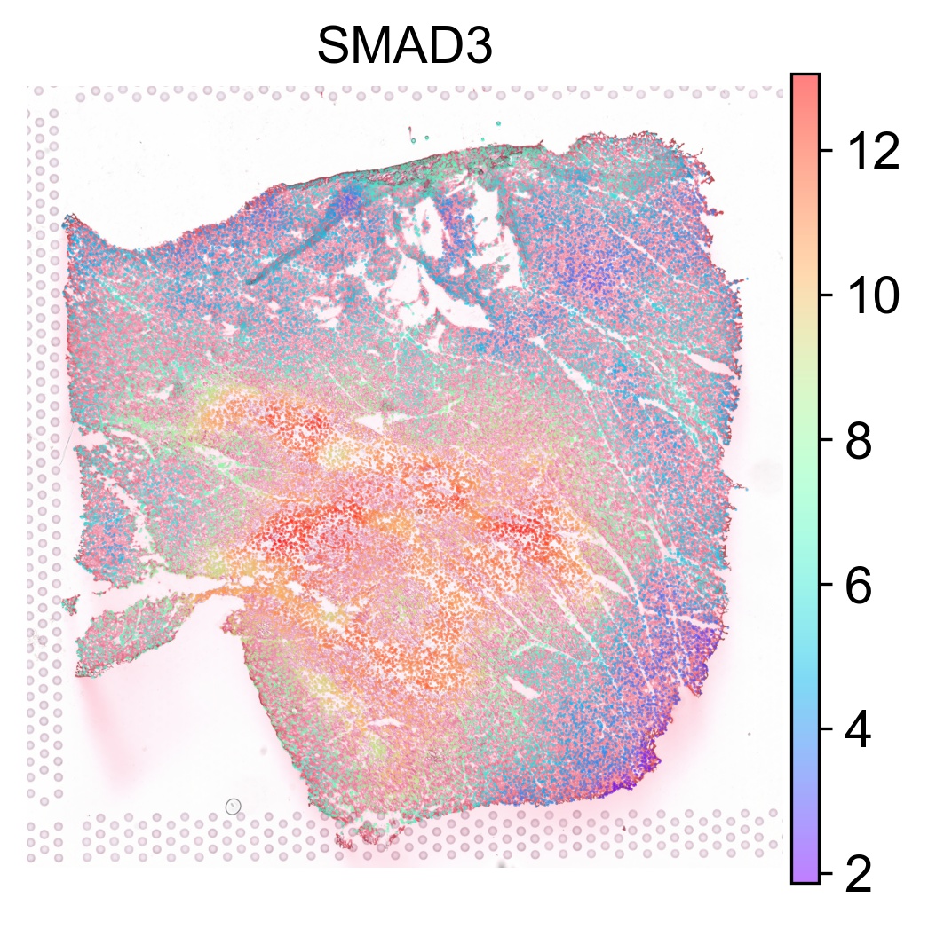 ../_images/notebooks_run_thor_analyses_HF_28_2.png