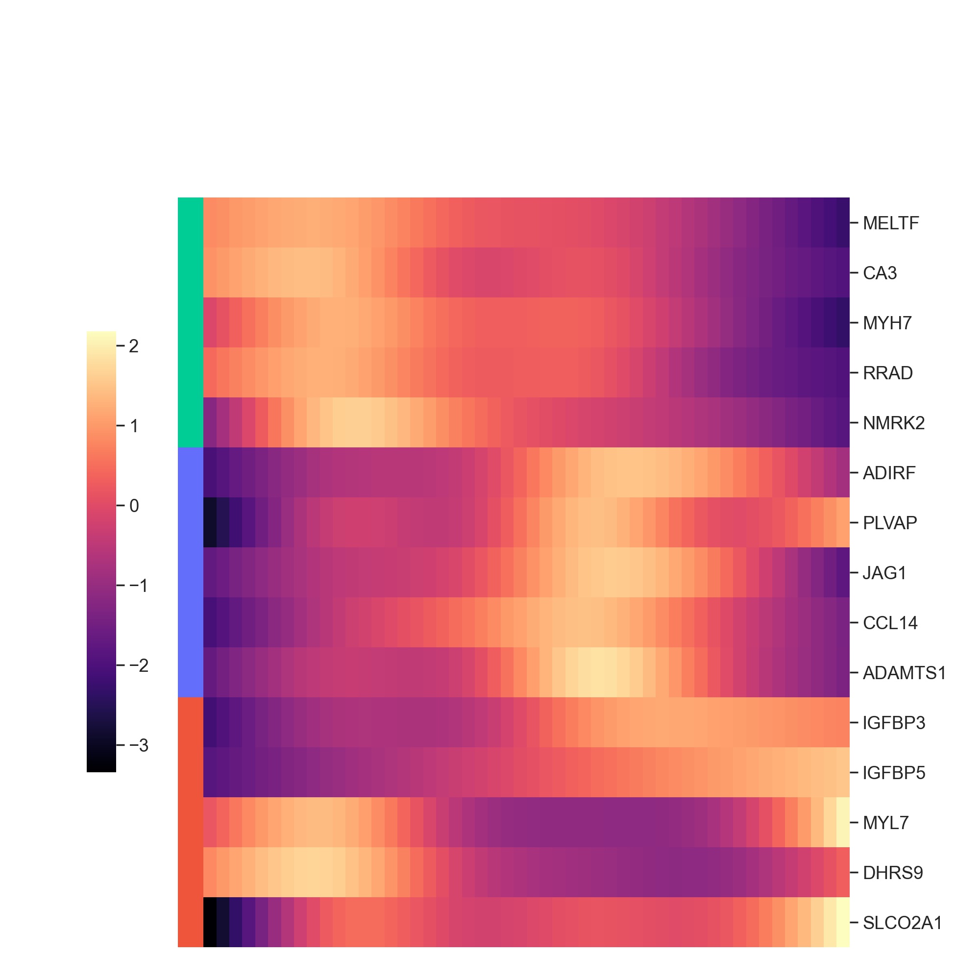 ../_images/notebooks_tutorial_run_cell_communication_commot_29_0.png